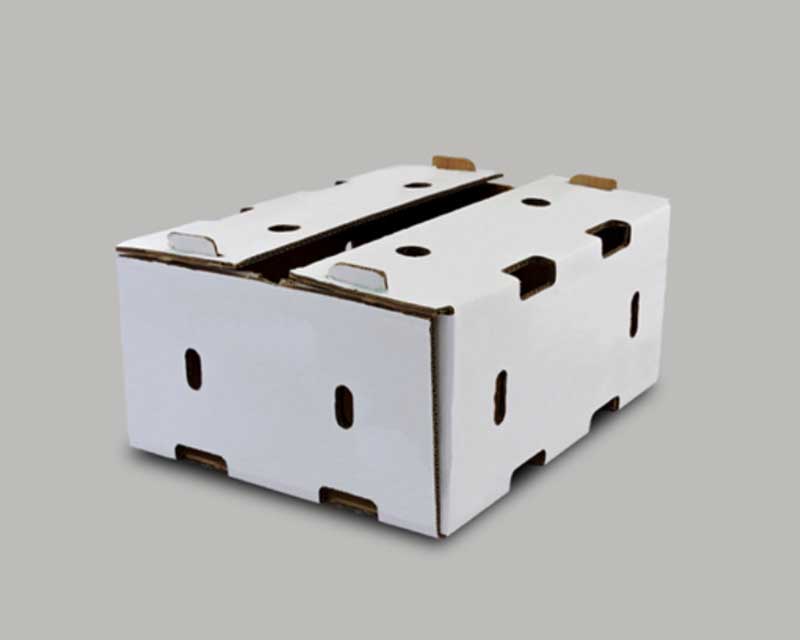 empresa fabricante de cajas de carton y empaques de carton corrugado en mexico