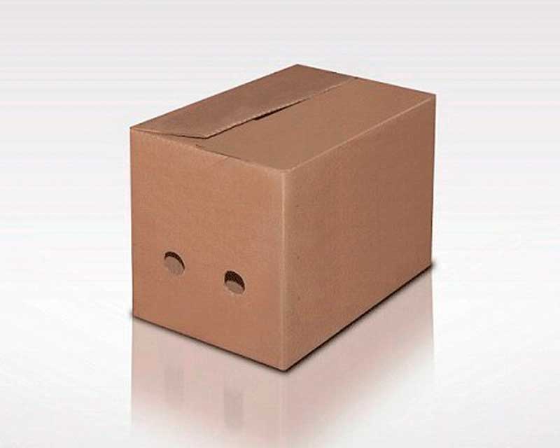 empresa fabricante de cajas de carton y empaques de carton corrugado en mexico